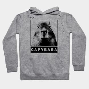 Capybara's Silhouette Hoodie